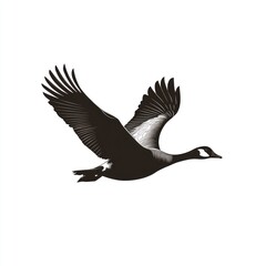 Obraz premium Black and white illustration of a goose in flight.