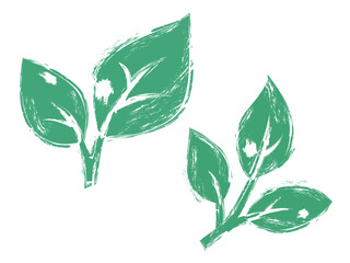 Roughness A016 leaf shows the important of Environmental friendly vector illustration graphic EPS 10
