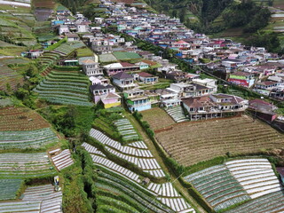 Fototapeta premium The beauty of the landscape Leek and vegetable plantations and architecture of the arrangement of terraced houses in the tourist area of ​​Nepal van Java, Butuh Hamlet, Magelang, indonesia