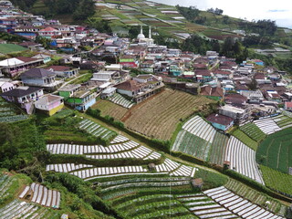 Fototapeta premium The beauty of the landscape Leek and vegetable plantations and architecture of the arrangement of terraced houses in the tourist area of ​​Nepal van Java, Butuh Hamlet, Magelang, indonesia
