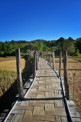 Fototapeta premium Jungle and rainforest landscapes in Brunei on the Asian island of Borneo