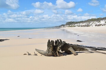 The white sandy beaches and turquoise ocean around the Whitsunday islands in Australia
