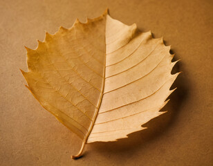 Dry Maple Leaf on Beige Background. Generated image