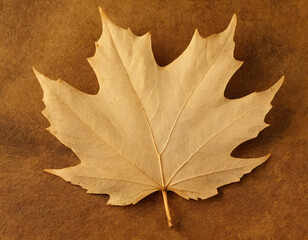 Dry Maple Leaf on Beige Background. Generated image