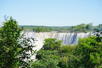 Iguazu Falls in Argentina - アルゼンチン イグアスの滝 