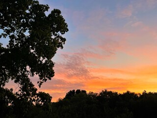 Obraz premium Beautiful shot of pink clouds in a blue sky with scenery of sunrise. Abstract background of cloud and sky in sunset. Colorful texture of cloudscape at twilight. Silhouette of tree and sky background. 