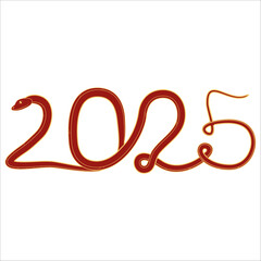 Chinese 2025 New Year Numeric. Zodiac Asia Silhouette Snake