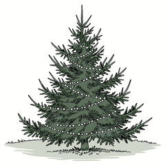 Obraz premium A realistic green Christmas tree adorned with colorful lights, perfect for holiday decorations, cards, and festive designs.