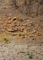 Fototapeta premium Dry arid ground and base of rocky mountain, piedra parada, patagonia, argentina