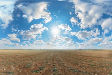 Fototapeta premium Use spherical 360 HDRI panorama in farming field for sky replacement in drone panoramas game development or VR content