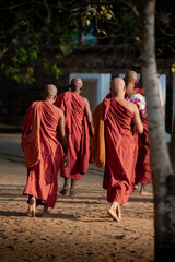 Buddhist monks walking in sri lanka carrying offerings