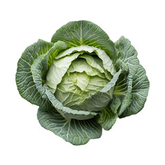 Fresh green cabbage isolated on white and transparent background. PNG cutout. green cabbage PNG, fresh cabbage, cabbage cutout, cabbage isolated, whole cabbage, cabbage transparent background,