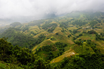 Obraz premium Landscape with rice terraces on a cloudy summer day in Sapa, Vietnam
