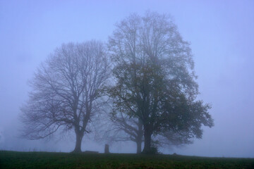 Obraz premium Nebel auf dem Jusi; Schwäbische Alb