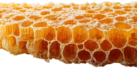 Honeycomb pattern with golden hexagonal cells isolated on transparent background