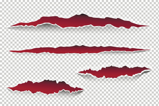 Vector illustration of different animal claw scratches isolated on transparent background