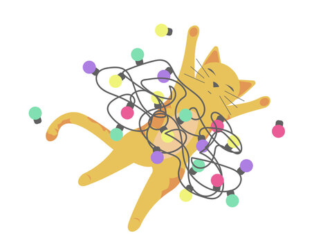 recommend clip art: Cute cat fell asleep stuck in garland lights.
