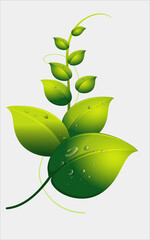 green leaf isolated vector.