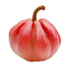 Rose Apple isolated on a transparent background