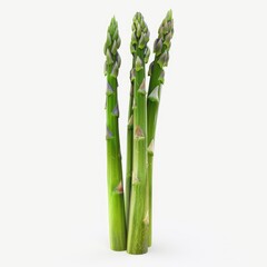 Fototapeta premium Photo of Asparagus Isolated on white background