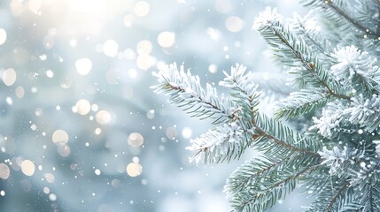 Obraz premium Winter Wonderland: Snowy Pine Branches, Pinecones, and Twinkling Lights Capturing Seasonal Magic