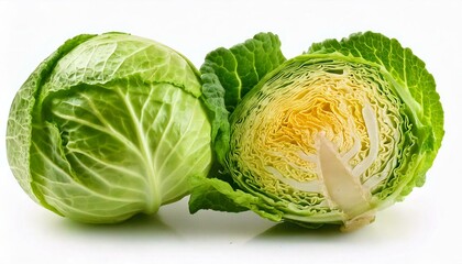 Fototapeta premium cabbage isolated on white background