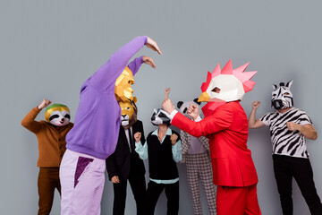Portrait of zebra raccoon lion panda sloth mask people watch gorilla rooster fight isolated on grey...
