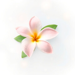 Fototapeta premium Beautiful romantic flower composition with roses, leaves, and floral bouquets