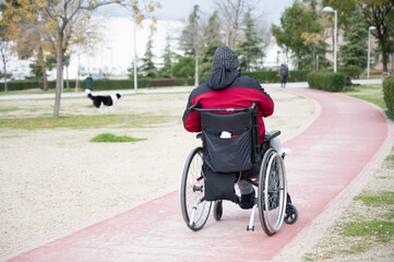 Fototapeta premium a person in a wheelchair is riding a bike in a park with a red jacket.