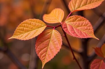 Obraz premium Background from leaves close-up in Color of the year, 2025, mocha mousse,. Color of the year 