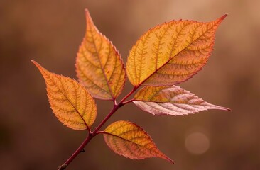 Background from leaves close-up in Color of the year, 2025, mocha mousse,. Color of the year 