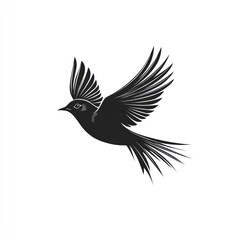 Fototapeta premium Silhouette of a bird in flight, wings spread wide, minimalist design.