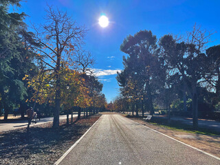 Sunny landscape in the middle of a natural and magical park in Madrid

