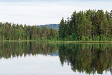 Fototapeta premium A calm evening by a lake with a reflection of nearby forests near Kuusamo, Northern Finland