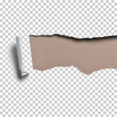 A torn paper with a torn edge and a torn corner of it