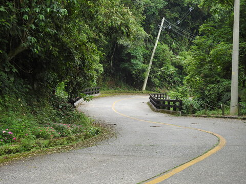 Curva em estrada com mata
