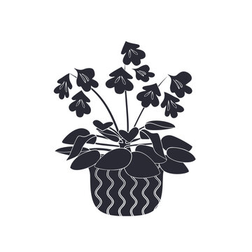 Black linocut silhouette of potted houseplant chirita. Tropical plant monochrome hand drawn design
