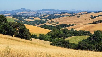 Naklejka premium Rolling hills with agricultural fields and scenic vistas