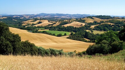 Fototapeta premium Rolling hills with agricultural fields and scenic vistas