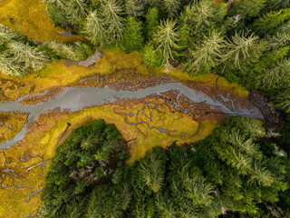 Aerial View of a Serene Wetland on Vancouver Island, Canada