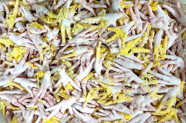 Top view seamless photo of pile of chicken foots.