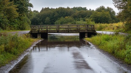 Fototapeta premium Marsh Bridge in serene landscape reflecting heavy rainfall with lush greenery and calm waters surrounding the structure after a storm.