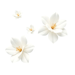 Obraz premium Floating White Flowers Isolated on Transparent PNG Cutout