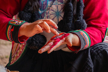 ancestral Inca technique for obtaining cactus cochineal color, Inca natural dye.