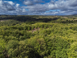 Obraz premium Field cultivated with common walnut (Juglans regia), Deilão, Trás-os-Montes and Alto Douro, Portugal