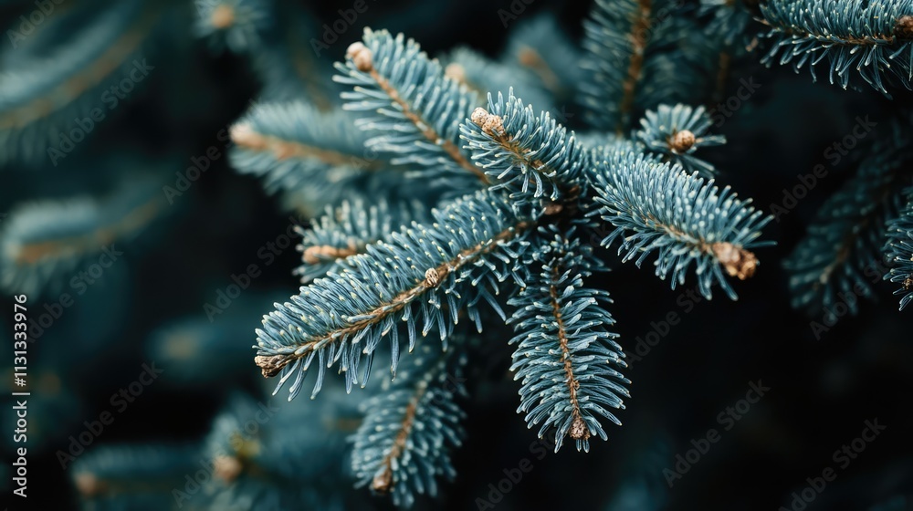 Poster closeup of christmas tree branches with green needles and a soft focus background capturing the esse