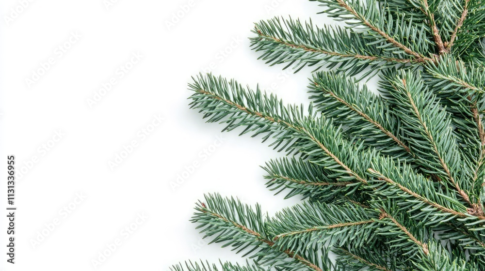 Poster christmas tree branches on white background with minimalistic presents creating a festive flat lay s