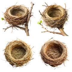Detailed PNG collection of bird nests with eggs, perfect for nature, wildlife, and decor projects