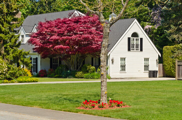 Two story luxury house with nice summer  landscape in Vancouver, Canada, North America. Day time on...