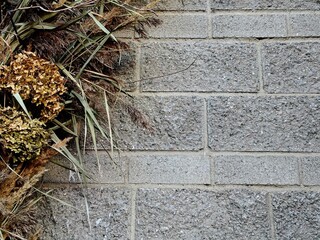 Naklejka premium Bouquet of dried flowers on the gray brick wall background.